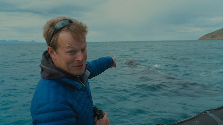 A southern right whale and a shark up close with Bertie Gregory in Plettenberg Bay