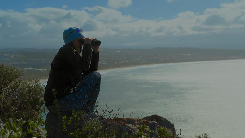 4.-sharks-up-close-with-bertie-gregory-shark-behaviour-ecologist-alison-towner-spotting-in-plettenberg-bay-image-credit-national-geographic