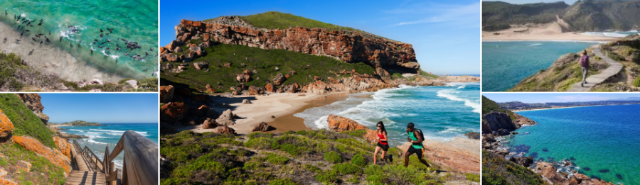 Robberg Nature Reserve in Plettenberg Bay