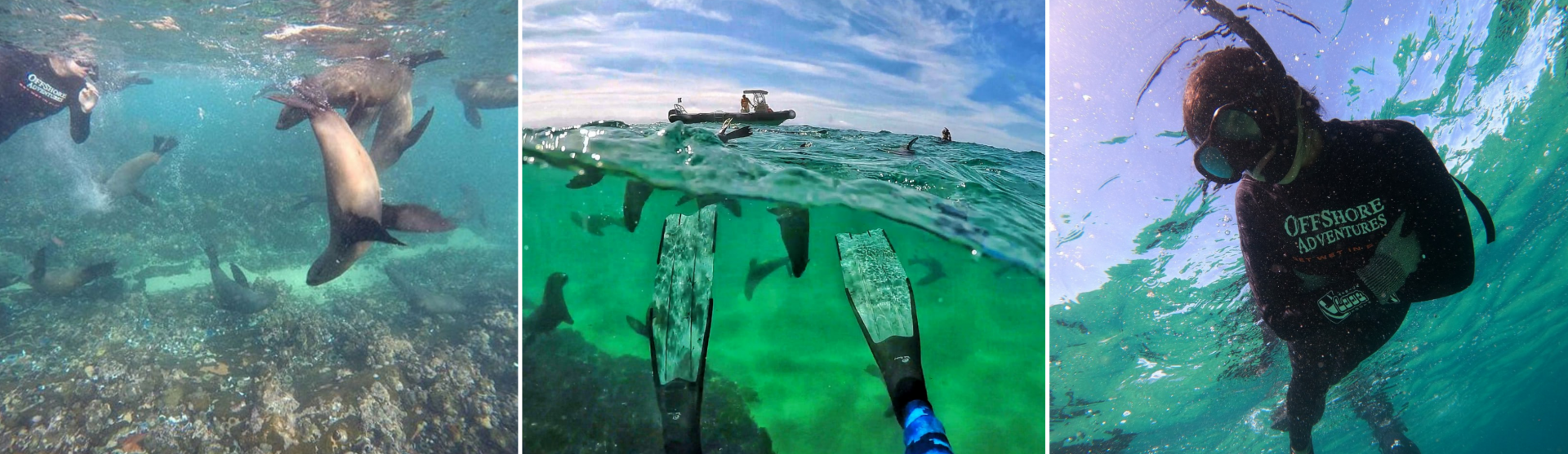 Offshore Adventures - Plettenberg Bay