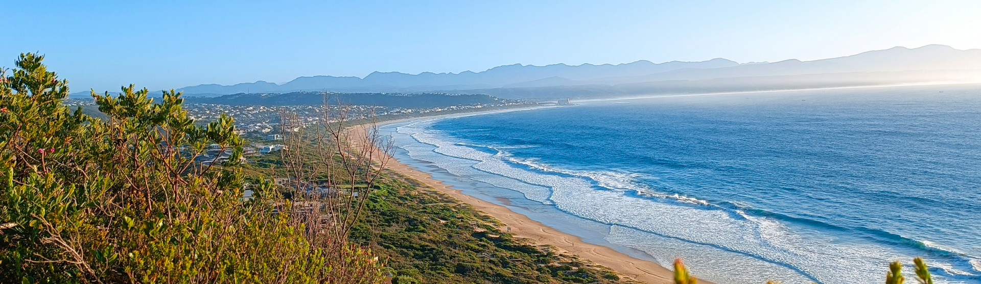 Bitou Blue Flag Coastline