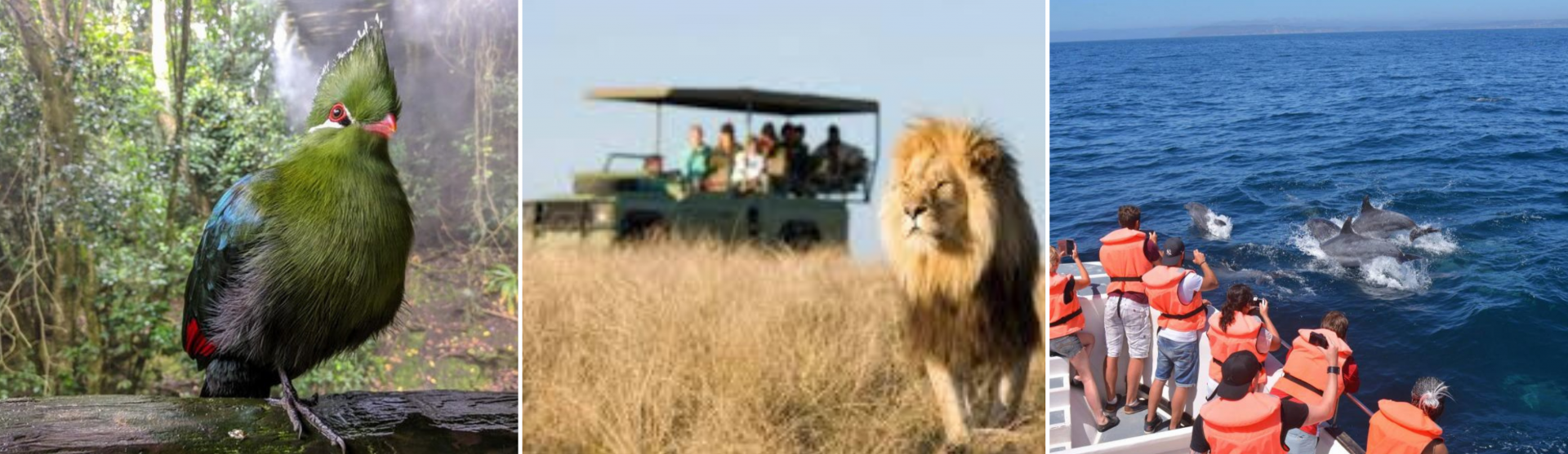 Plett Getaways Banner